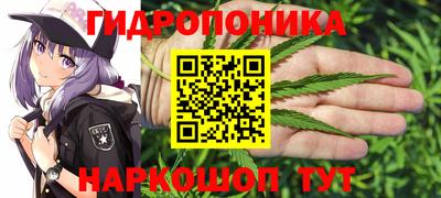 сатива Шебекино