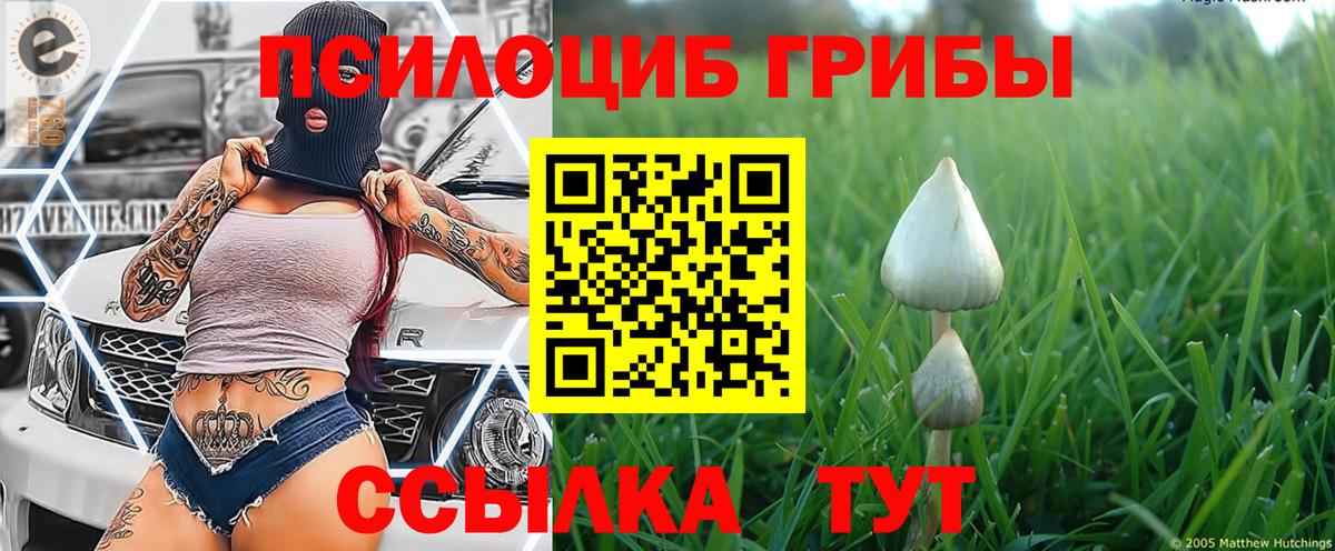 Воронеж  Галлюциногенные грибы ЛСД  Вход с VPN 